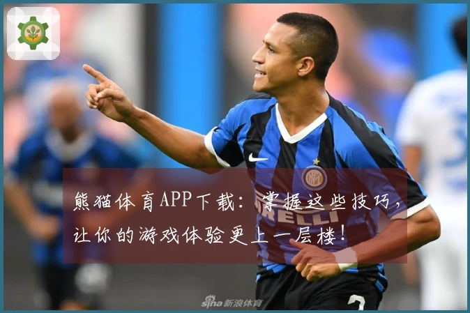 熊猫体育APP下载：掌握这些技巧，让你的游戏体验更上一层楼！