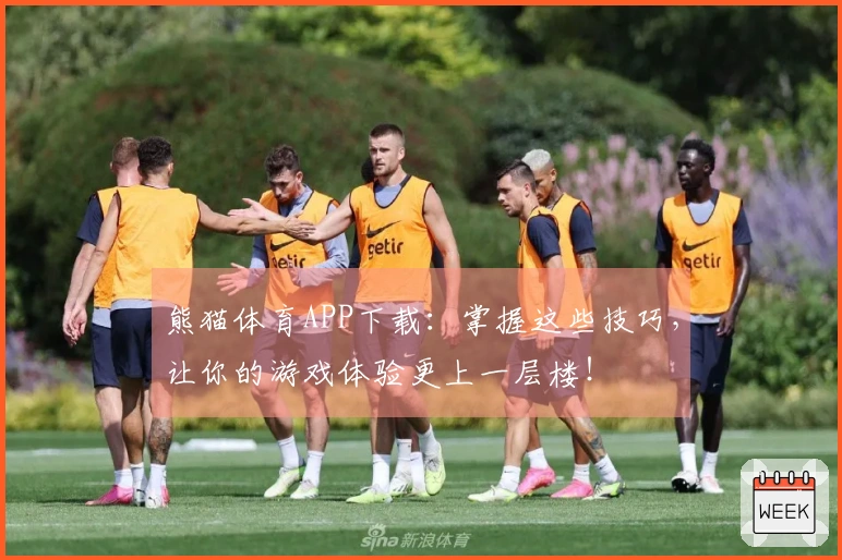 熊猫体育APP下载：掌握这些技巧，让你的游戏体验更上一层楼！